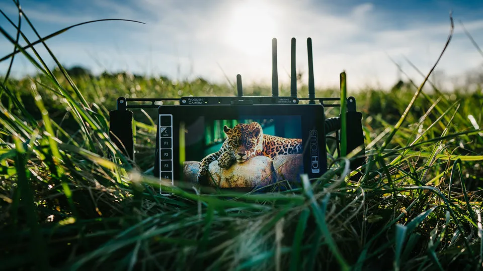 703 UltraBright On-Camera Monitor