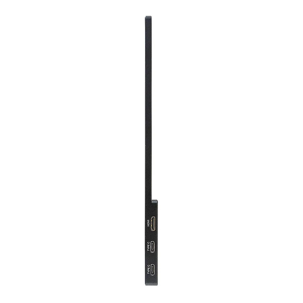 Acer - AOPEN 16PM1Q Bbmiuux 15.6” IPS Business Portable Monitor (USB Type-C and Mini HDMI Cable Included) - Black