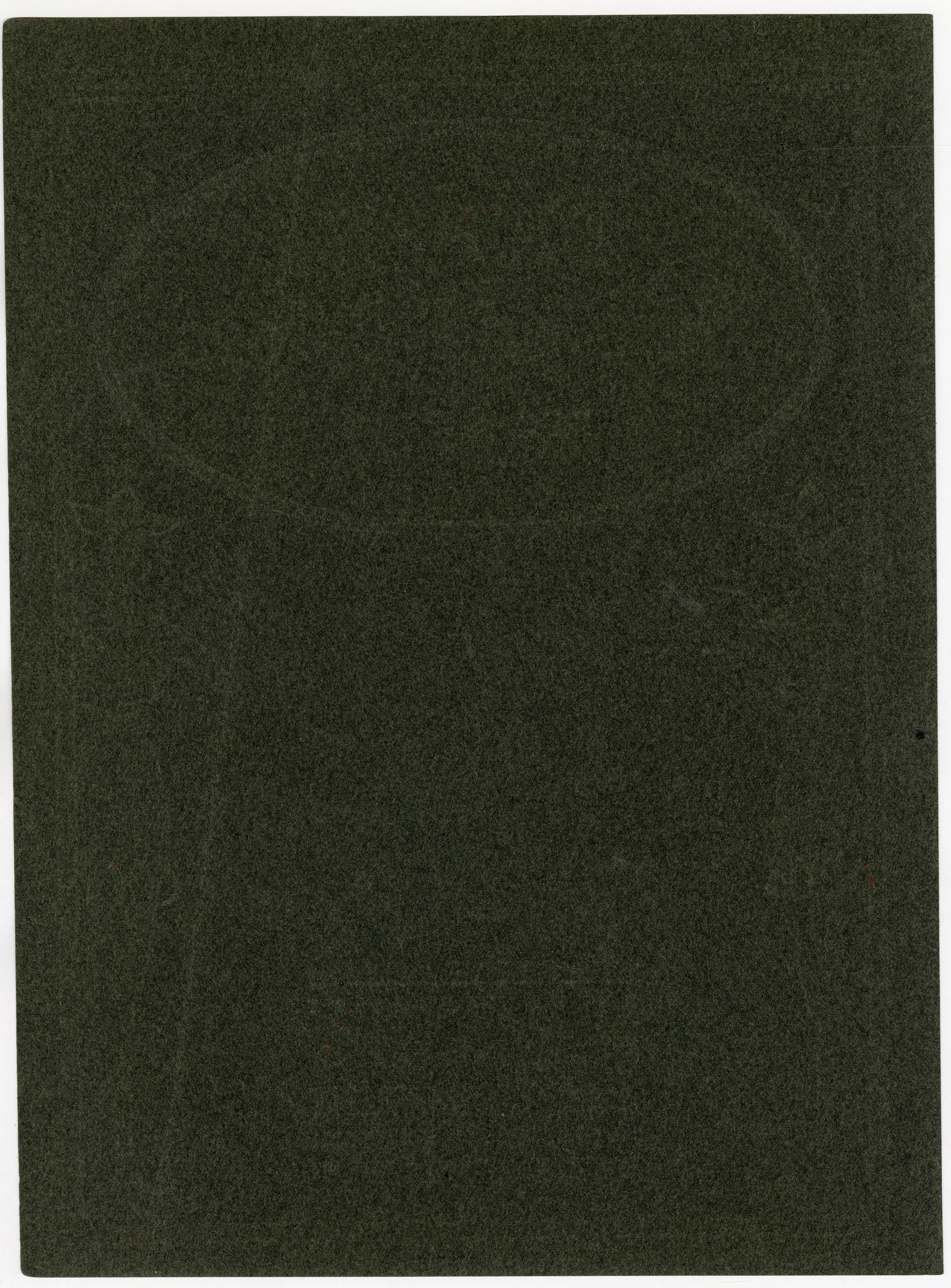 Antique Berlin Ink and Color Company Printer's Sample Advertisement