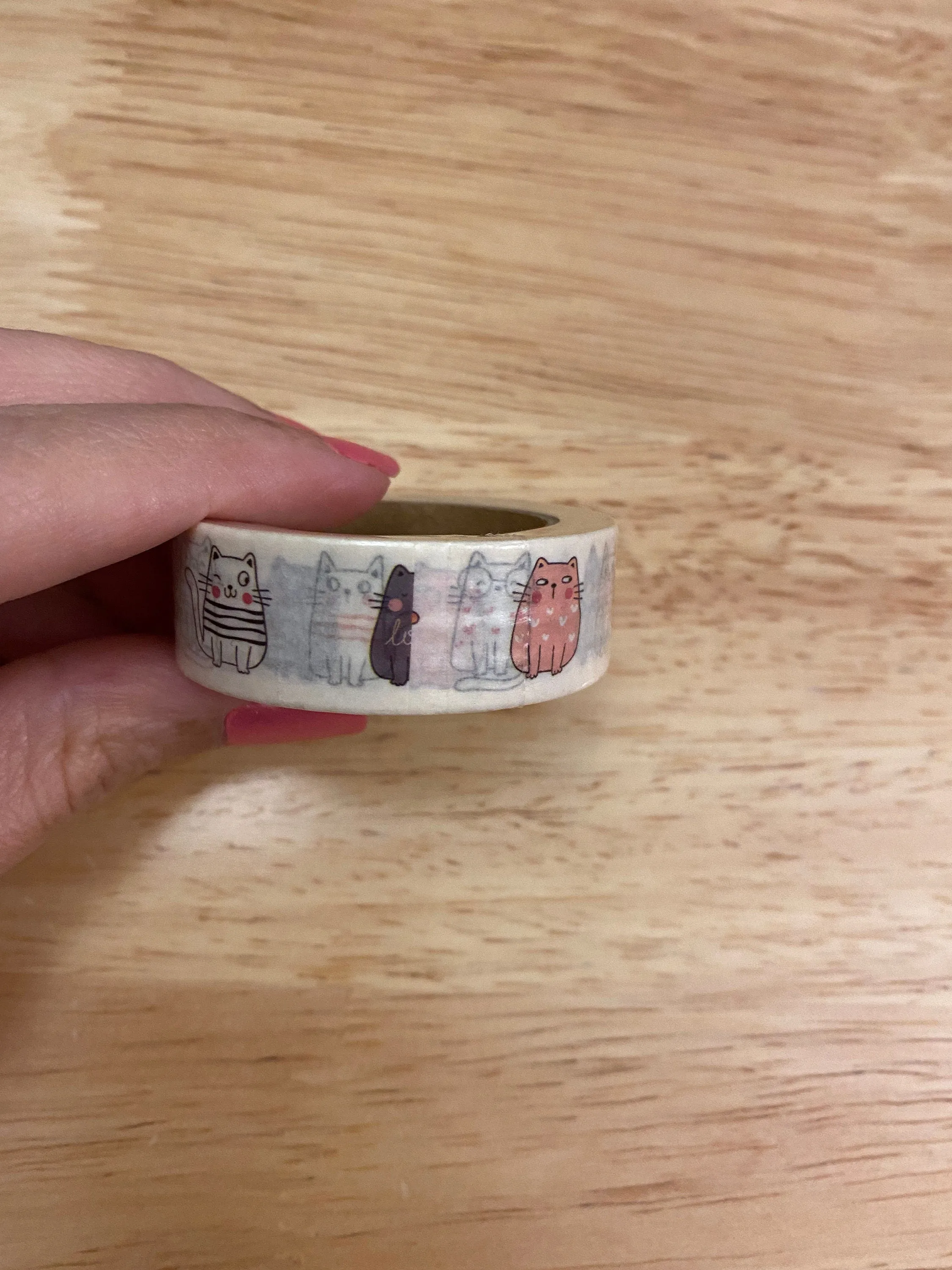 Big Roll of Multi Color Sitting Cats Washi Tape