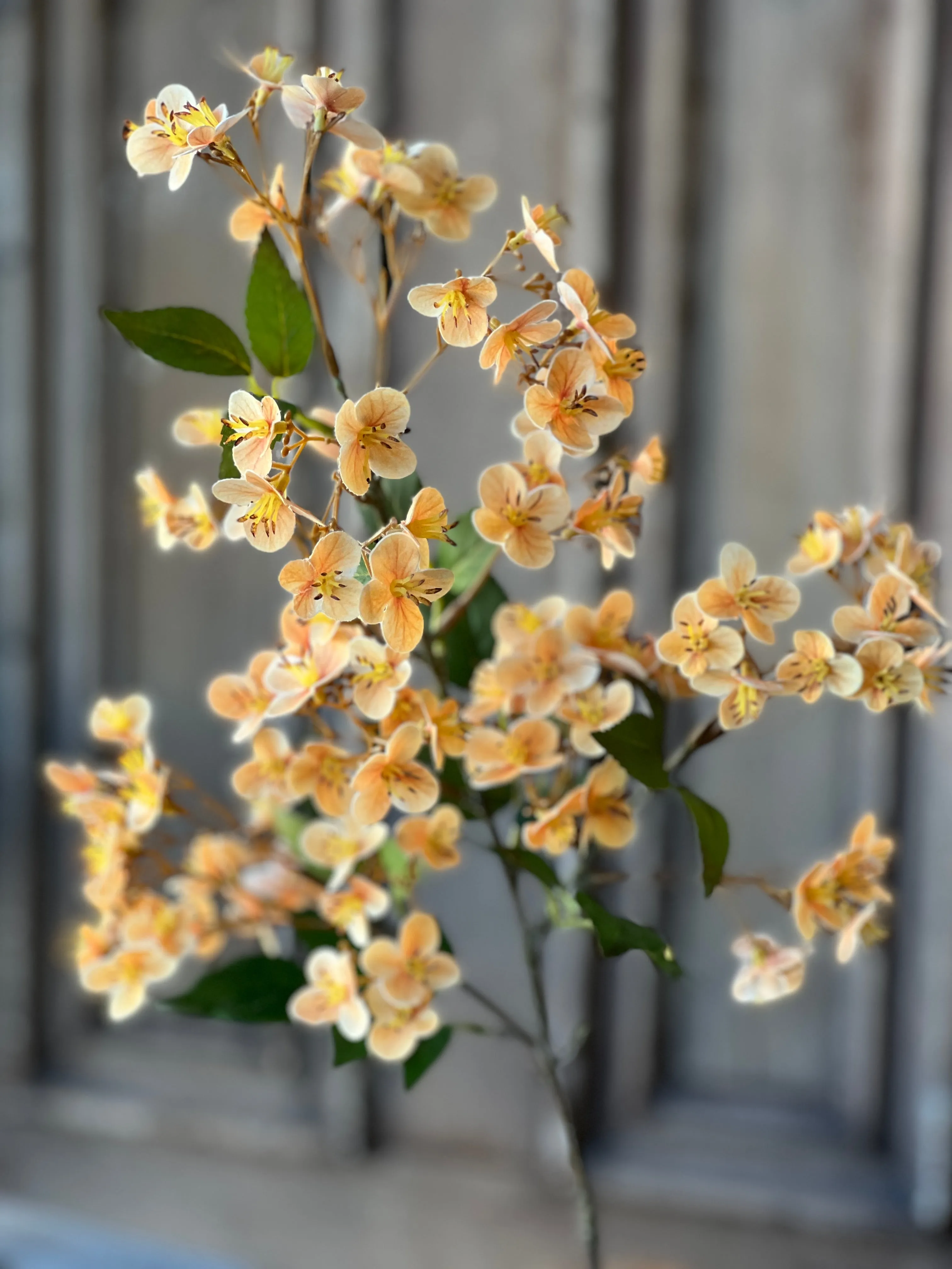 Chaucer Hydrangea | 32" | Amber