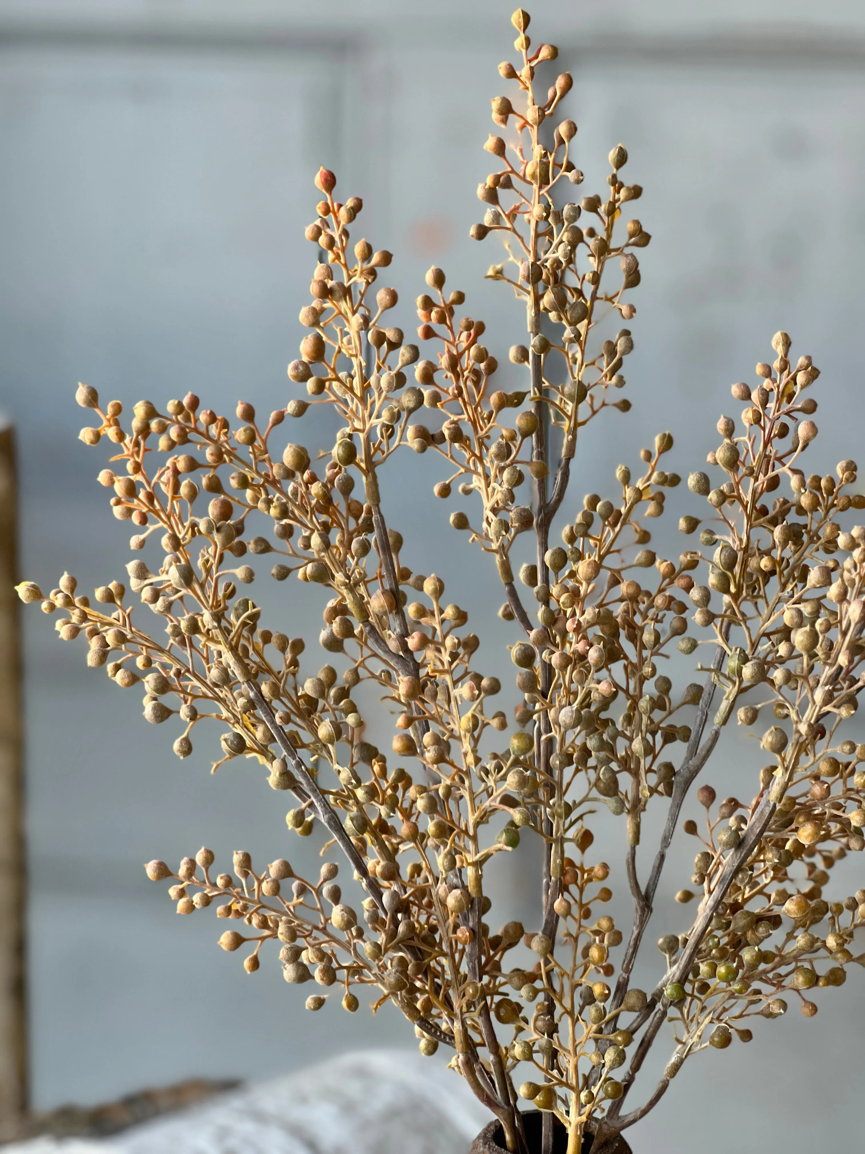 Corduroy Berry Bush | 16.5" | Earth