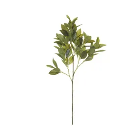 Faux Citrus Leaf 73cm