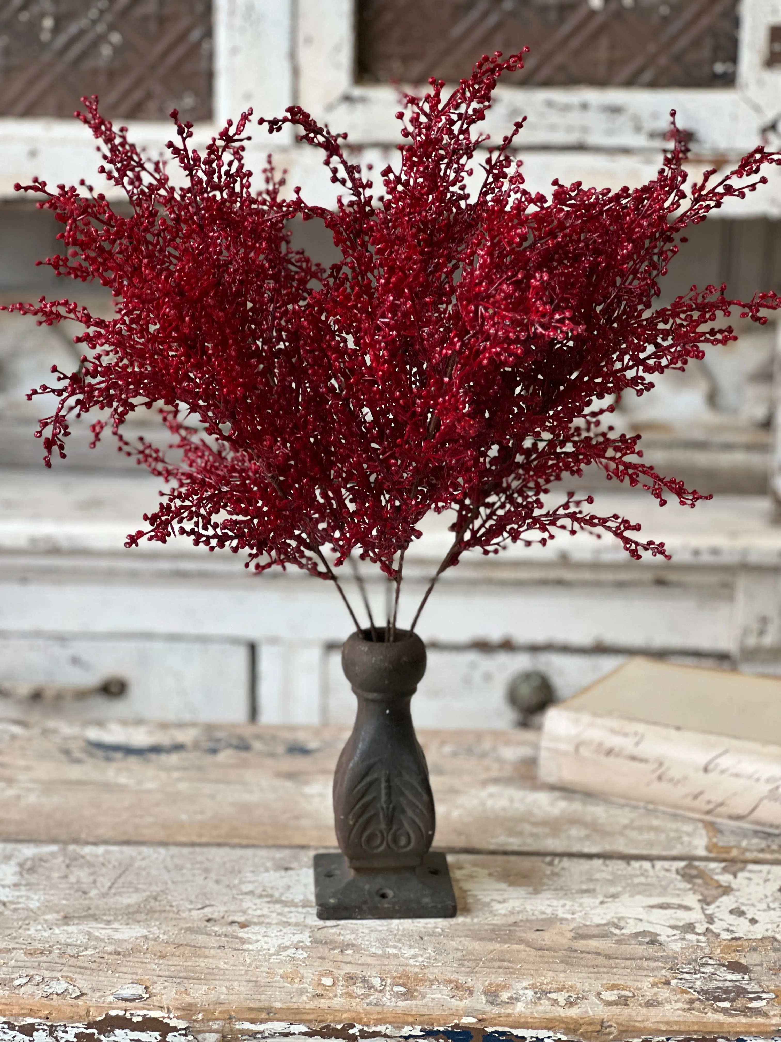 Frivolity Berry Bush | 18"