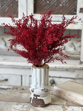 Frivolity Berry Bush | 18"