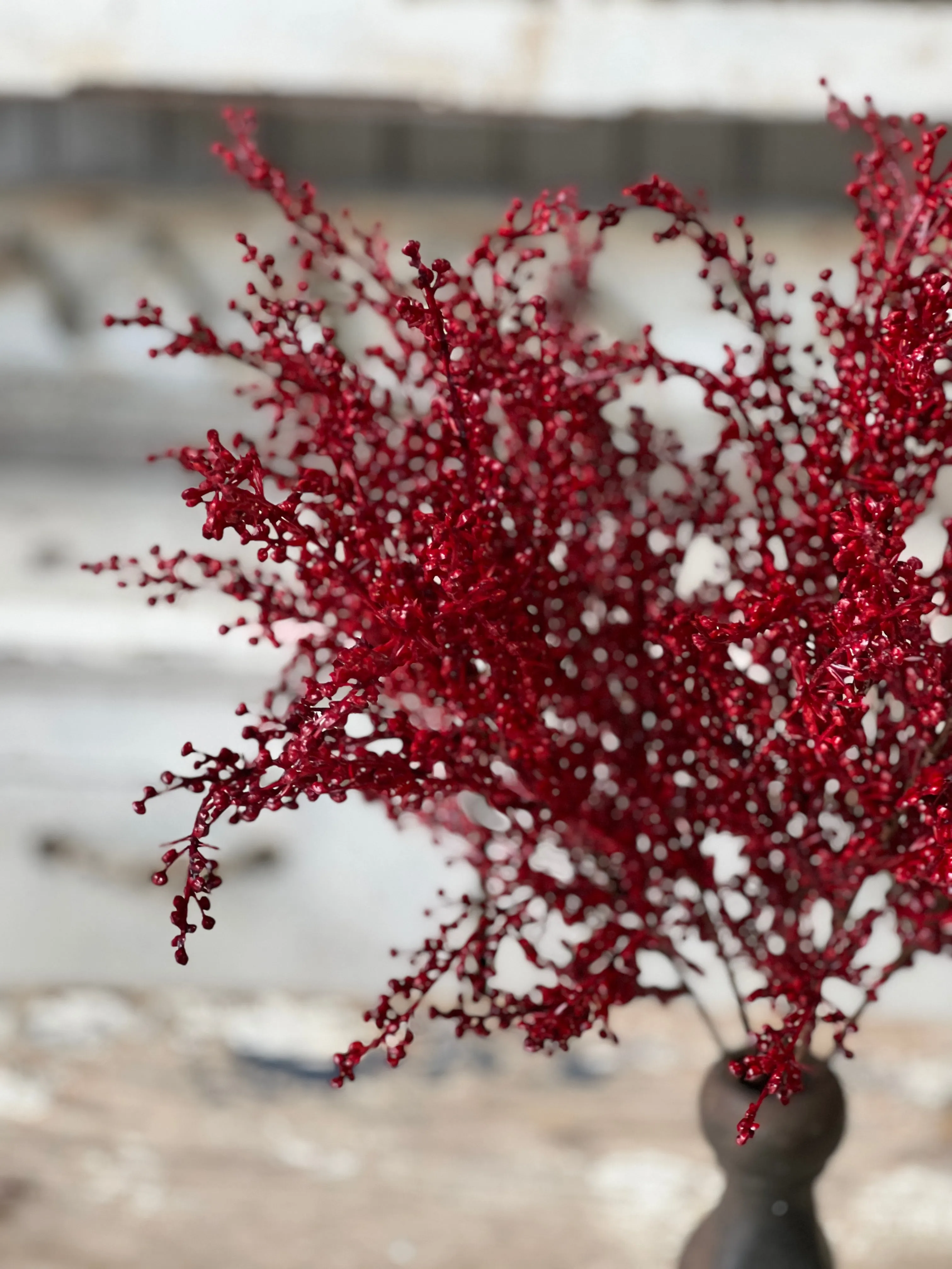 Frivolity Berry Bush | 18"