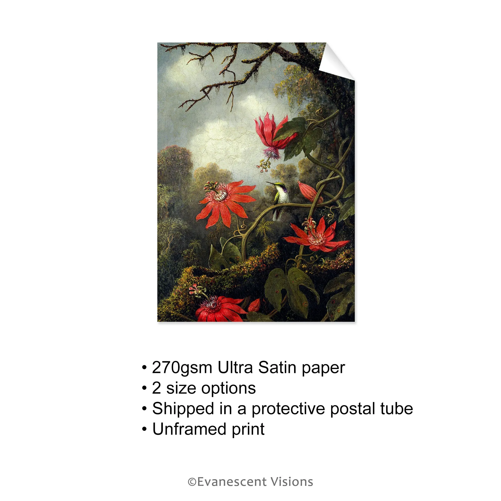 Johnson Heade Hummingbird and Passionflowers Art Poster Print