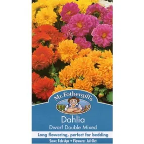 Mr Fothergill's Dahlia Dwarf Double Mixed