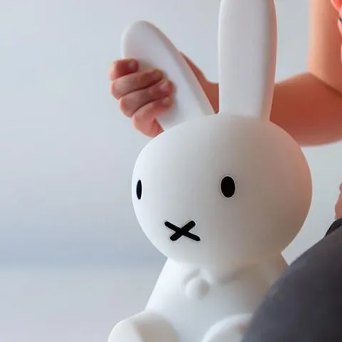 Mr Maria Miffy My First Light