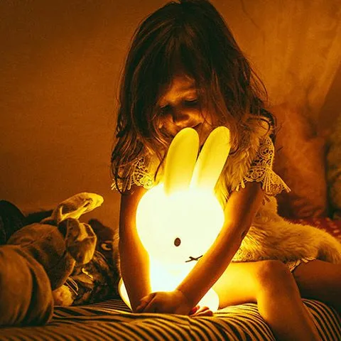 Mr Maria Miffy My First Light
