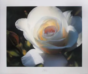 "Elegance" by Collin Bogle