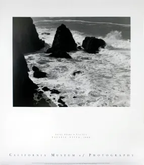 "Pacific Vista-1966" by Ansel Adams