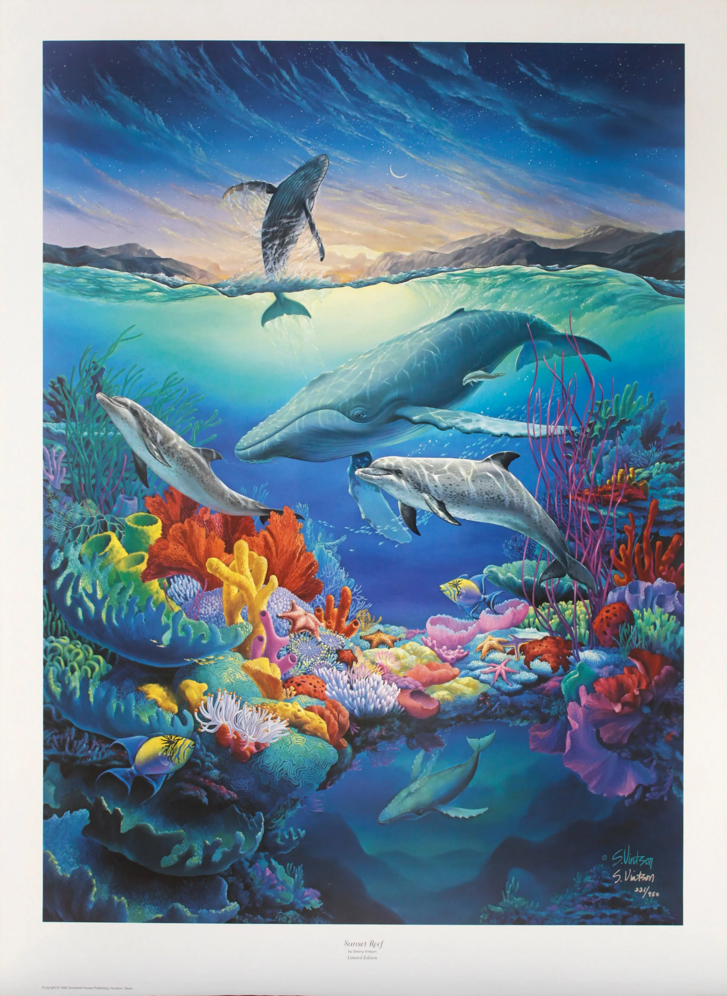 "Sunset Reef" by Sherry Vintson