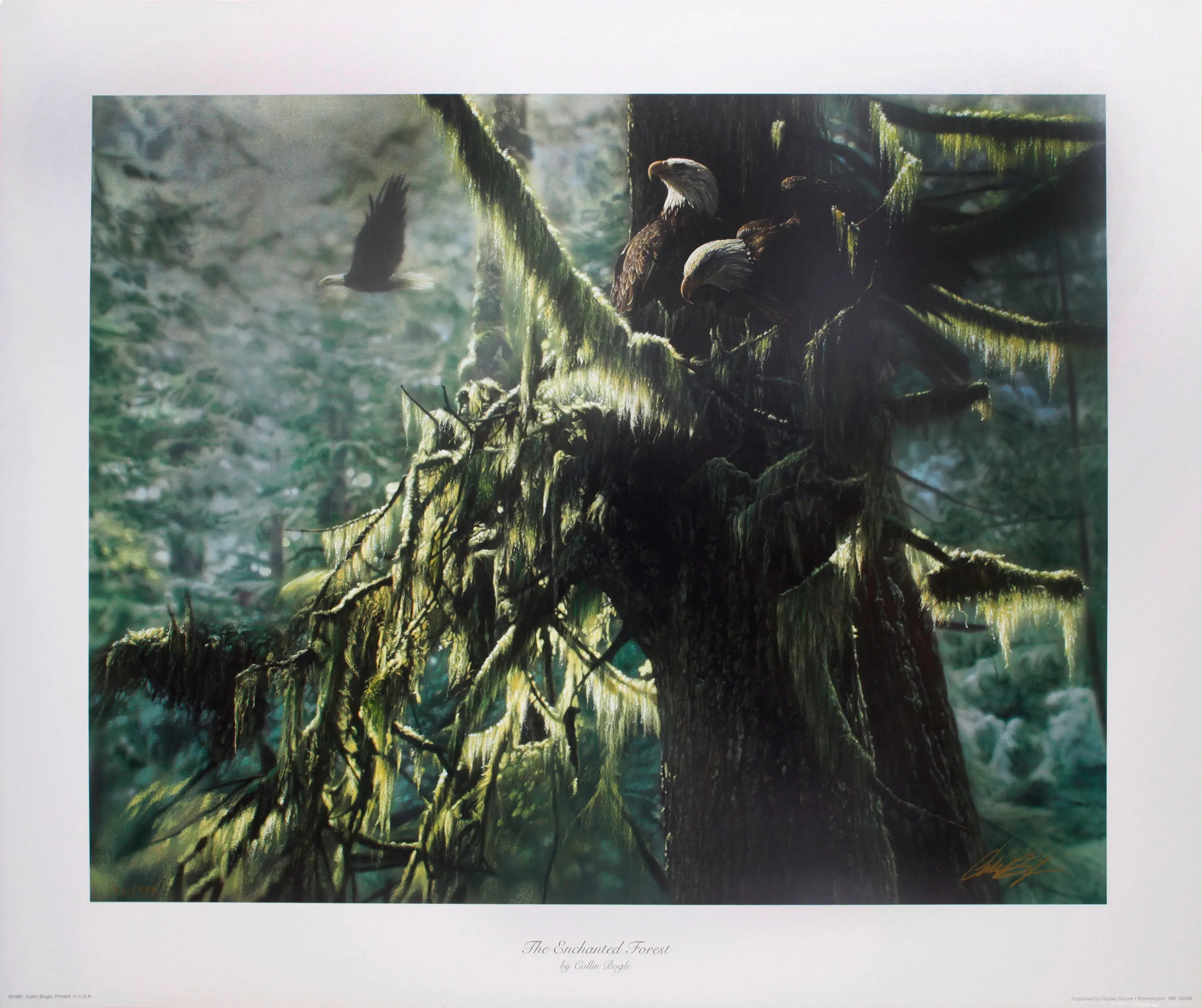 "The Enchanted Forest" by Collin Bogle