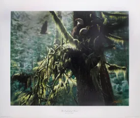 "The Enchanted Forest" by Collin Bogle